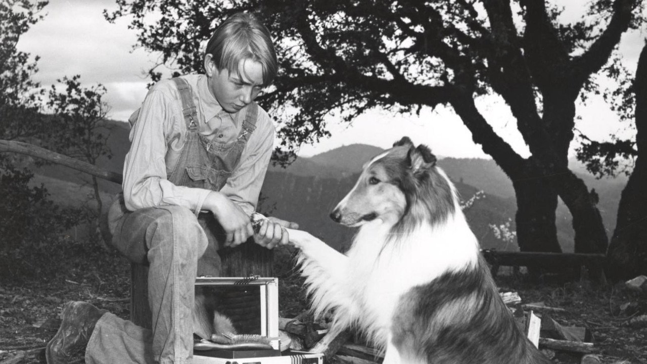 Bild aus dem Film