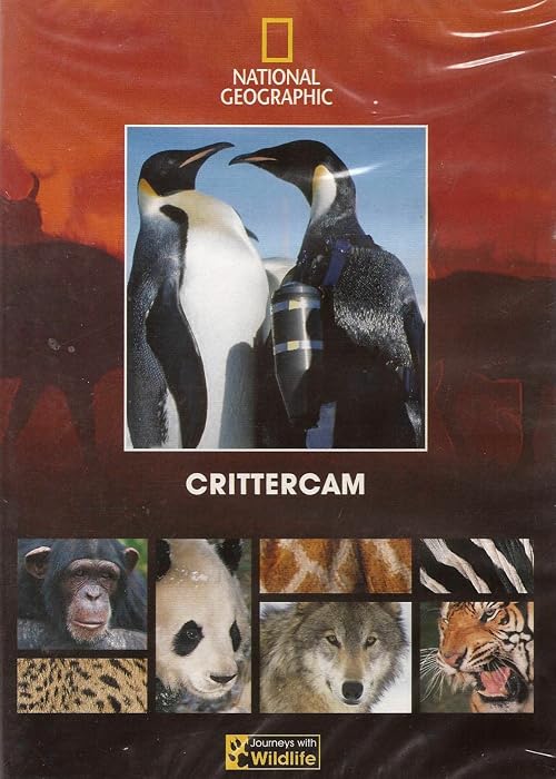 Crittercam