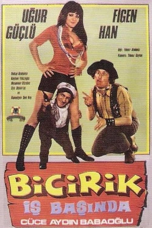 Bicirik Is Basinda