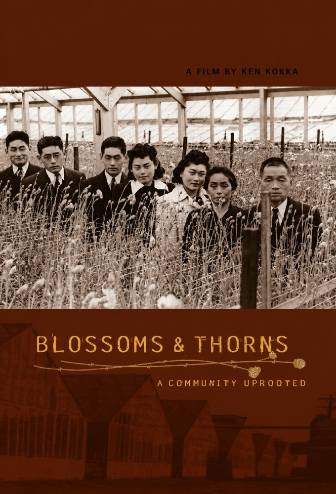 Blossoms & Thorns