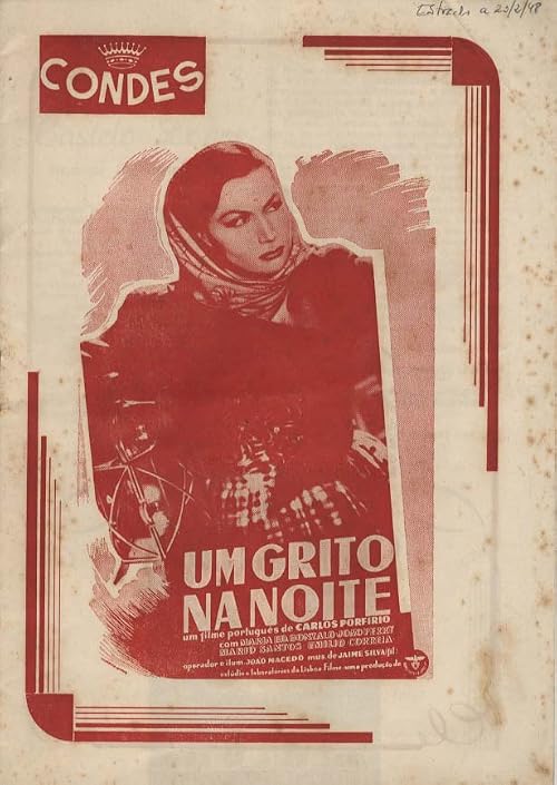 Um Grito na Noite