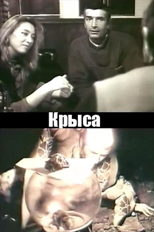 Крыса
