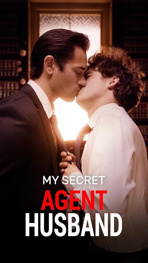 My Secret Agent Husband