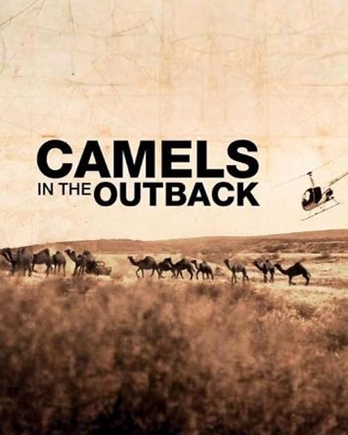 Camels in the Outback