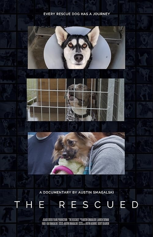 #SaveThisDog
