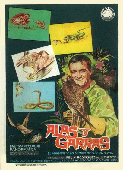 Alas y garras