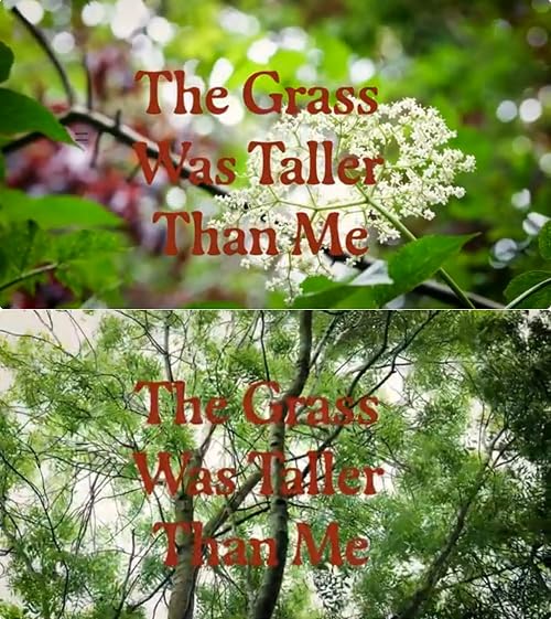 The Grass Was Taller Than Me