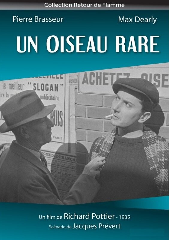 Un oiseau rare