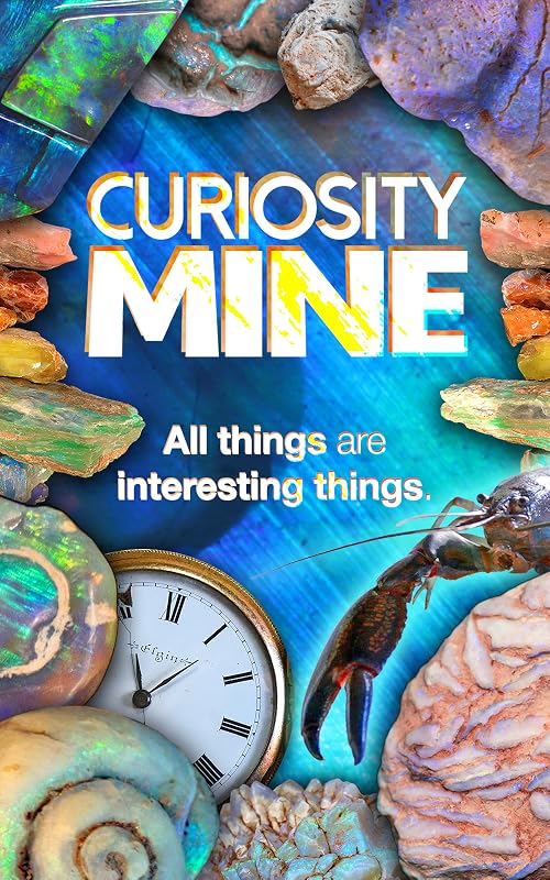 Curiosity Mine