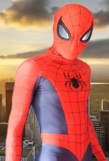 The Spider-Man Saga