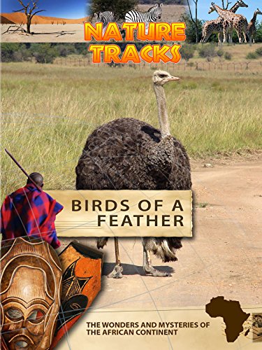Birds of a Feather
