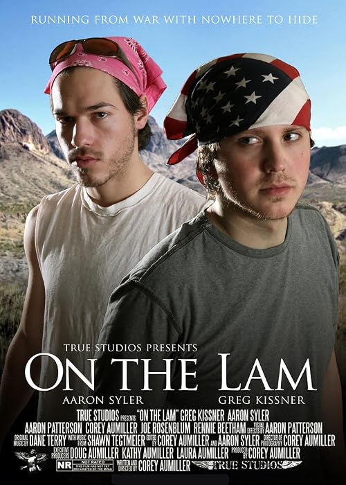On the Lam
