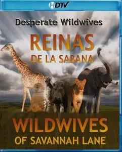 Wildwives of Savannah Lane