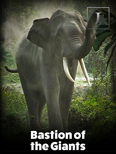 Bastion of the Giants