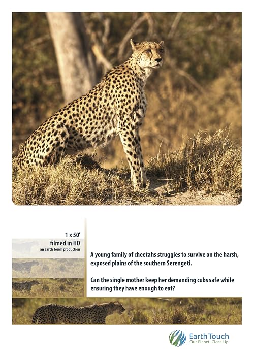 Cheetah: Super Specialist