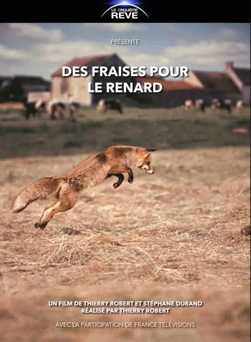 Des fraises pour le renard