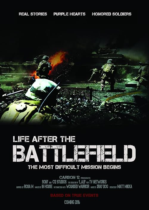 Life After the Battlefield