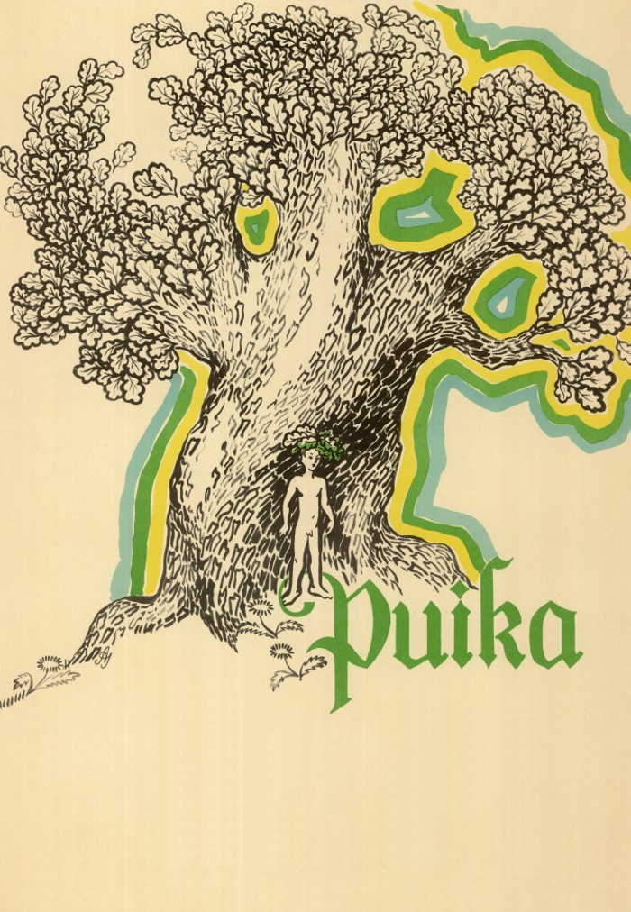 Хлопчина