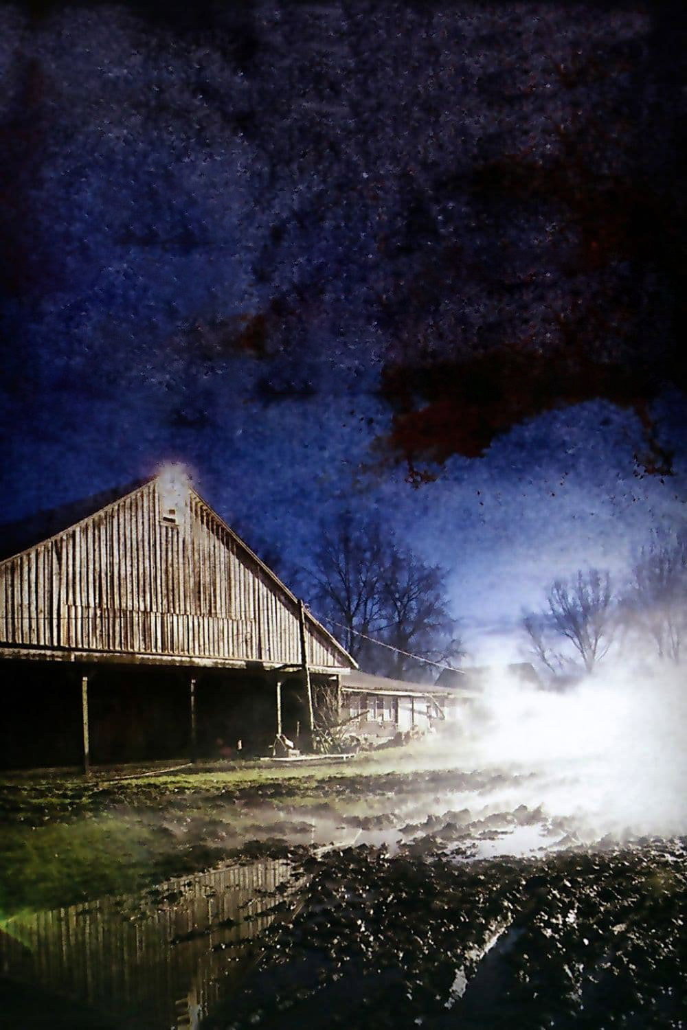 The Pig Farm