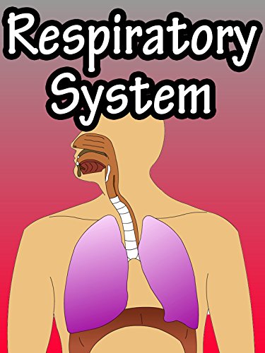 Respiratory System