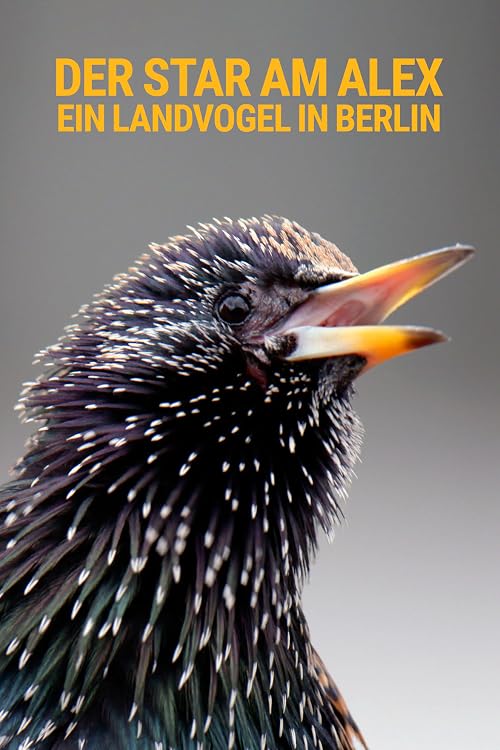 Der Star am Alex - Ein Landvogel in Berlin