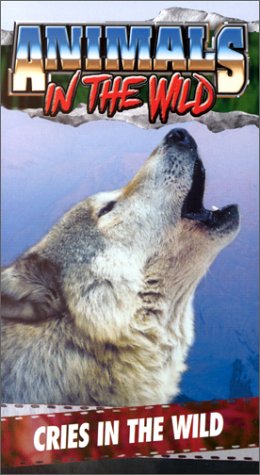 Animals in the Wild