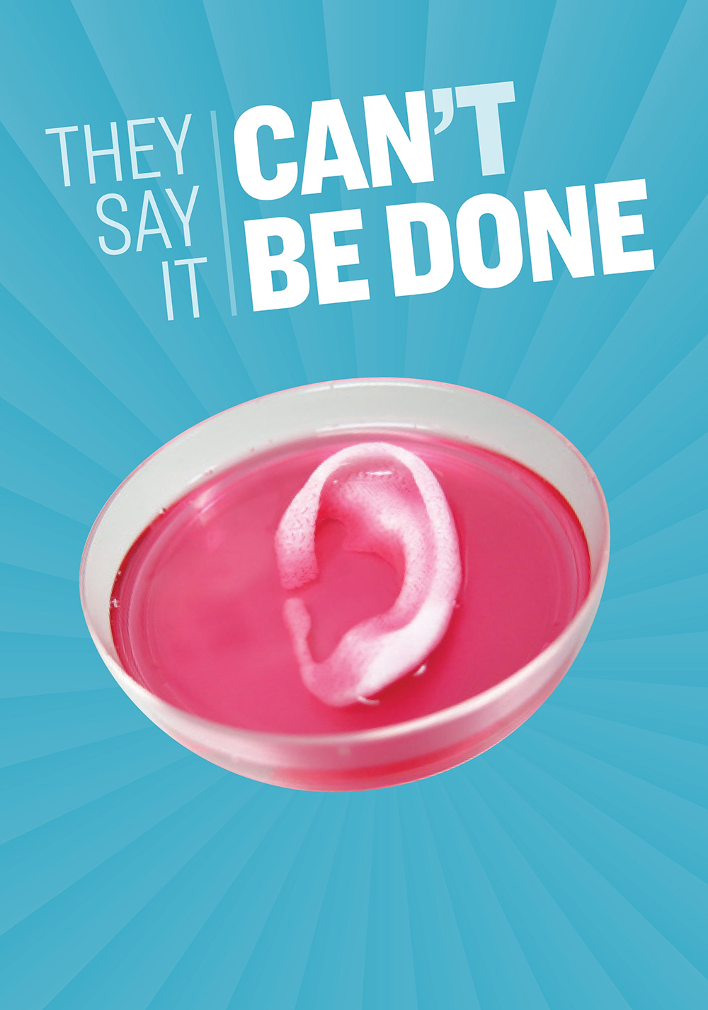 They Say It Can't Be Done