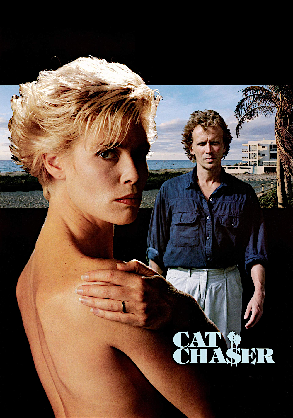 Cat Chaser