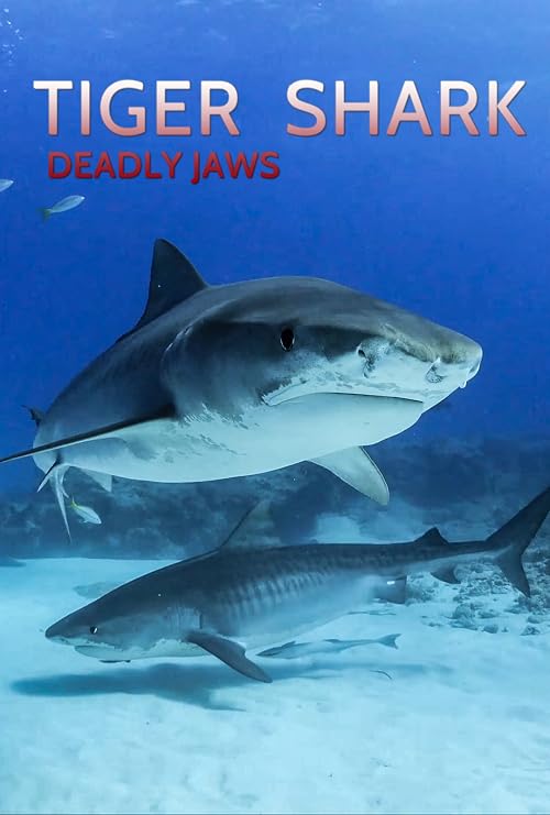 Tiger Shark: Deadly Jaws
