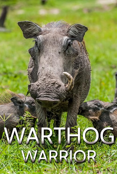 Warthog Warrior