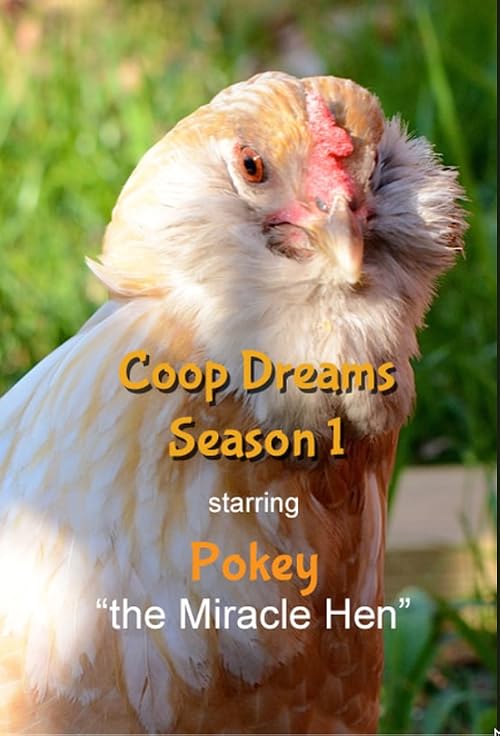 Coop Dreams