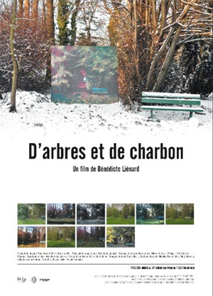 About Trees and Coal