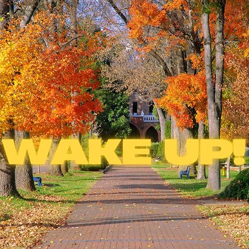 Wake Up!