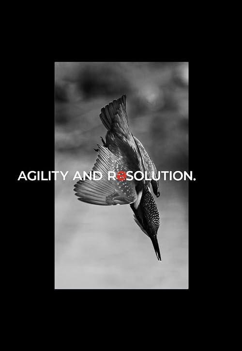 Haefele Software: Collective Genius