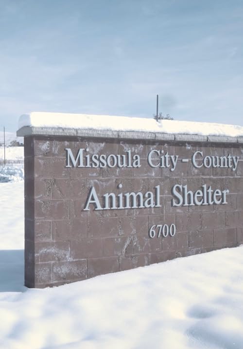Missoula County Animal Control: Expansion Commercial