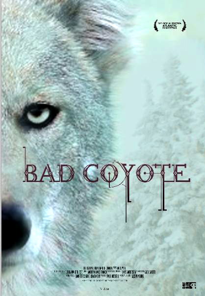 Bad Coyote