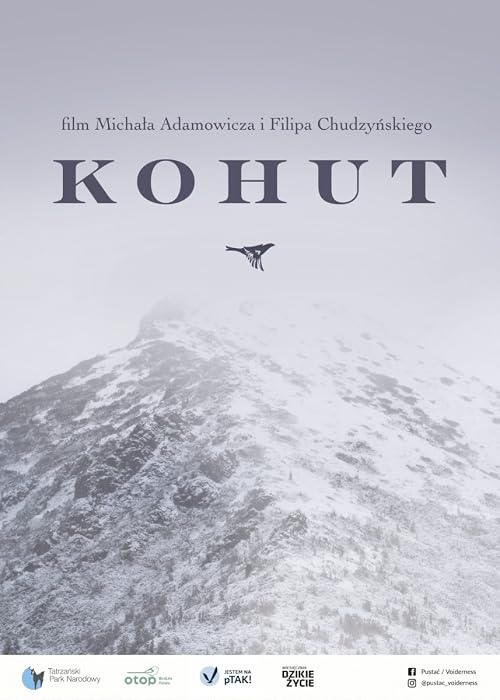 Kohut