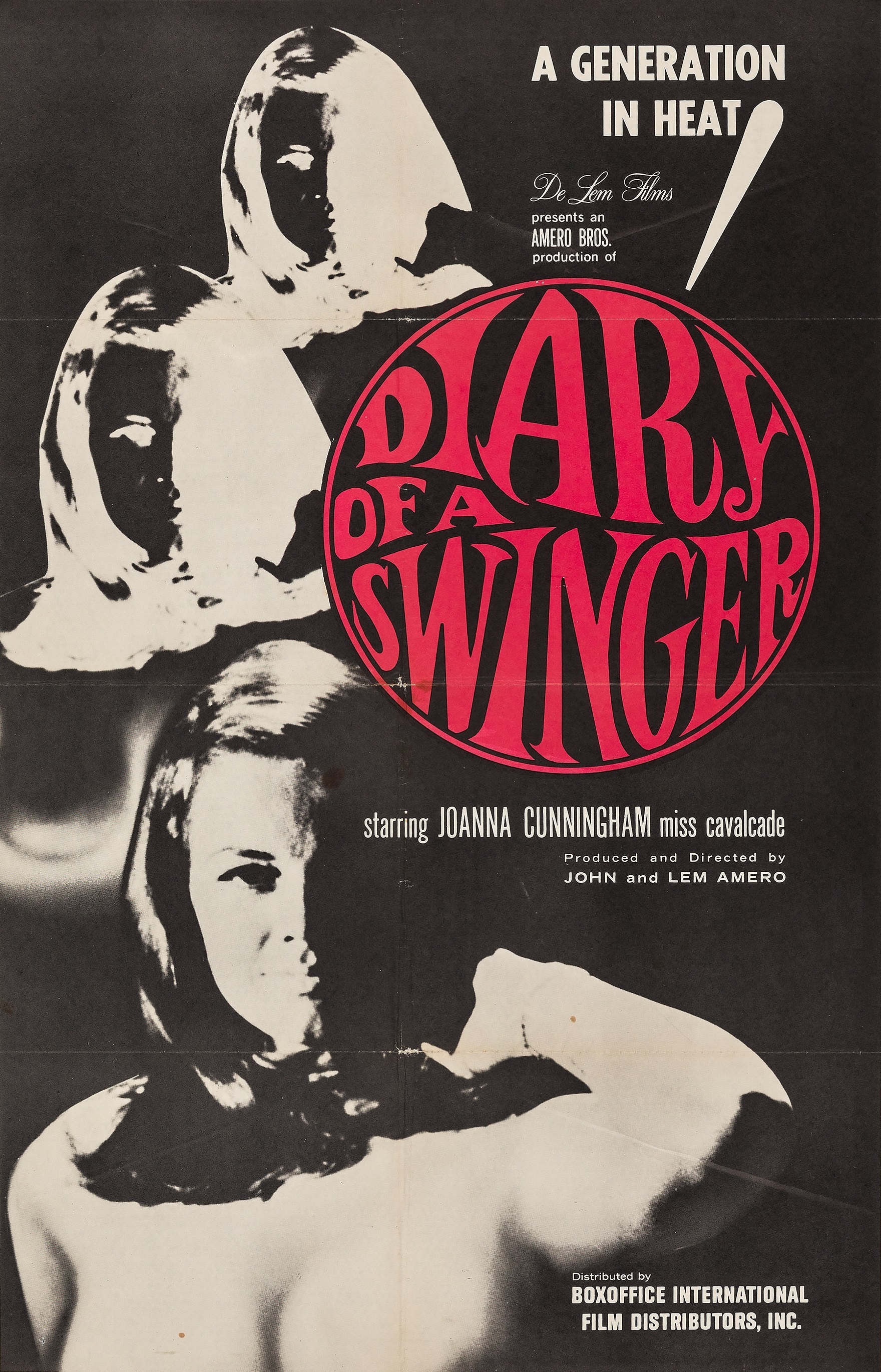 Diary of a Swinger