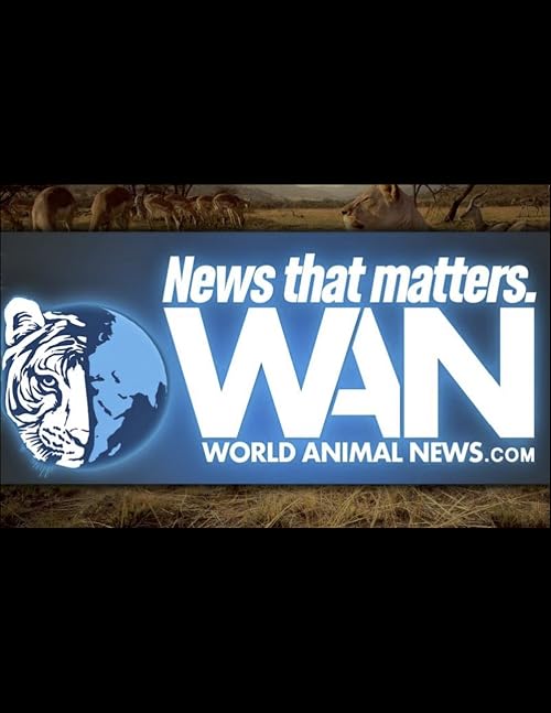 World Animal News