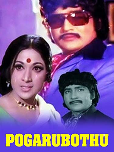 Pogaru Botu