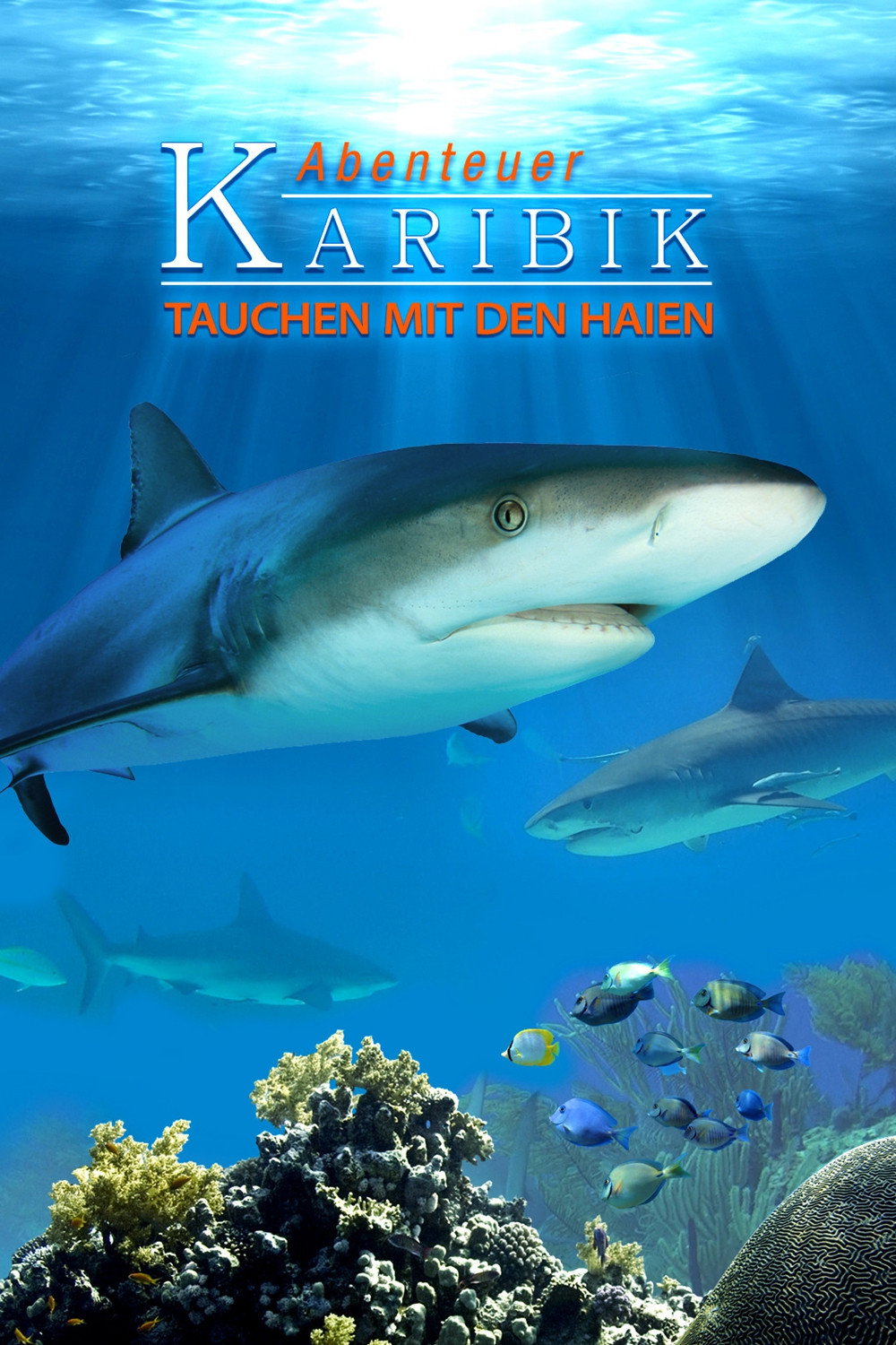 Abenteuer Karibik 3D: Tauchen Mit Den Haien
