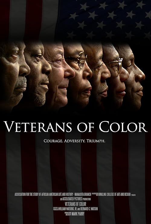 Veterans of Color