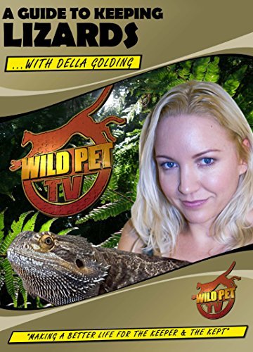 A Guide to Keeping Lizards