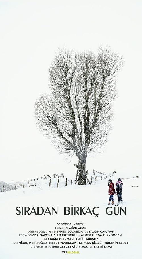 A Few Ordinary Days