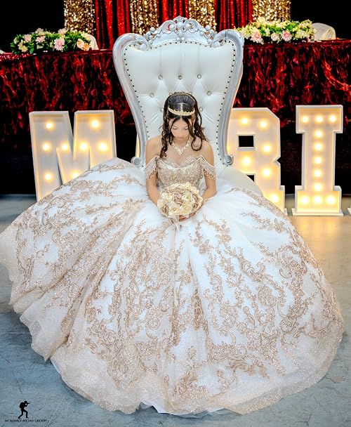 Mariah Angel De La Rosa Quinceanera