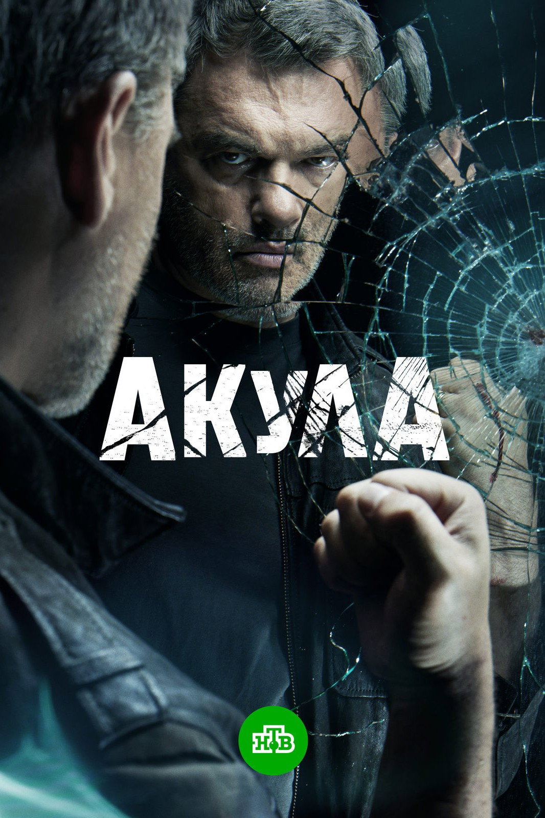 Акула