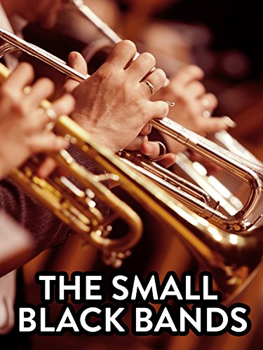 The Small Black Bands