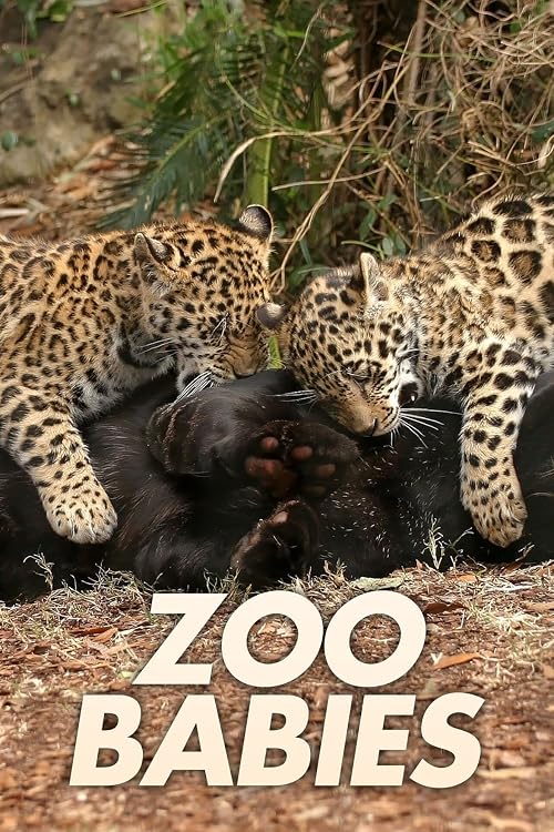 Zoo-Babies