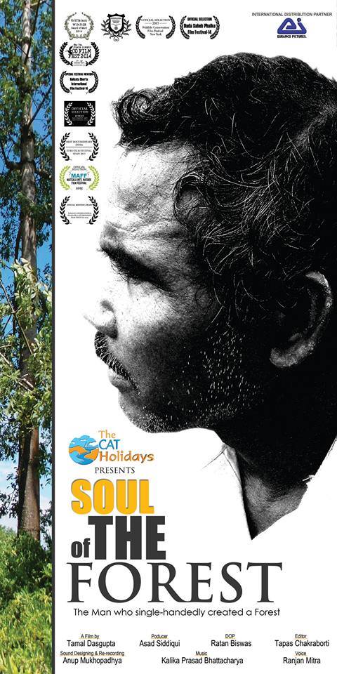 Soul of the Forest