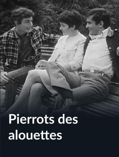 Pierrots des alouettes